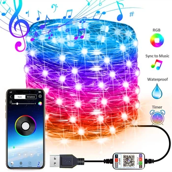 Jõulupuu Decor 5M/10M/20M/30M USB Bluetooth Smart Led Light String vasktraat Haldjas Vanik Lamp App Kaugjuhtimispult