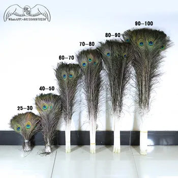 50tk/LotTop Kvaliteedi Peacock Feather 25-70CM looduslikult Kaunis Paabulind Silma Sulg DIY Ehted, Dekoratiivsed Deco Tarvikud Voog