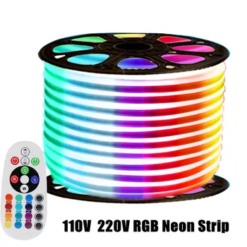 220V 110V RGB LED Neon Flex Ribad Trossi Kodu Kaunistamiseks Outdoor Valgustus EU/UK/US/AU pult