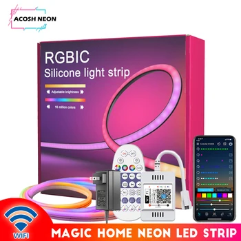 32,8 jalga 10M WIFI RGBIC Neoon valguskaabel 24V Magic Kodus LED Tuled Muusika Sünkroonimine Töötab Alexa ja Google ' i Assistent